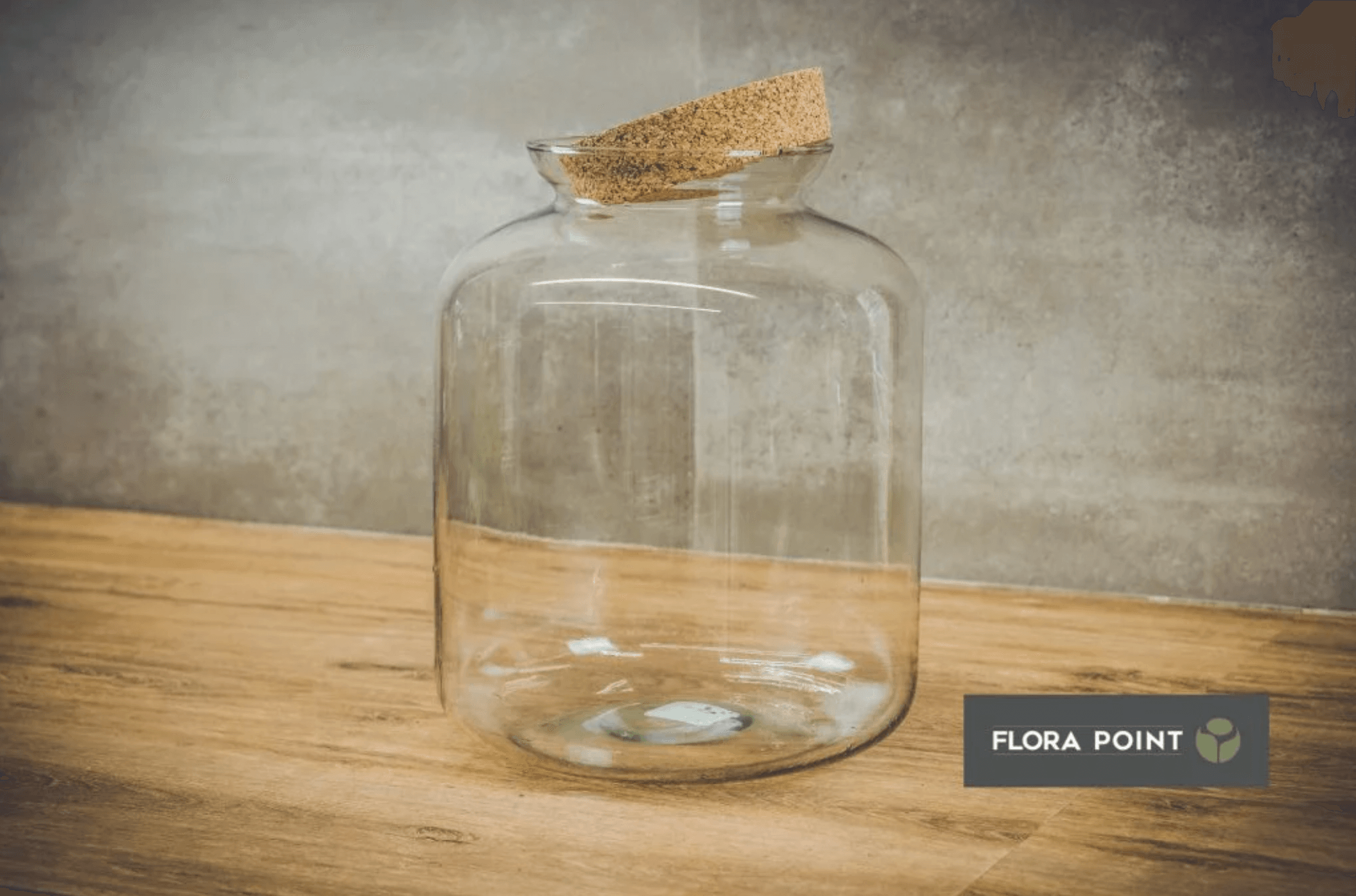 zdjecie