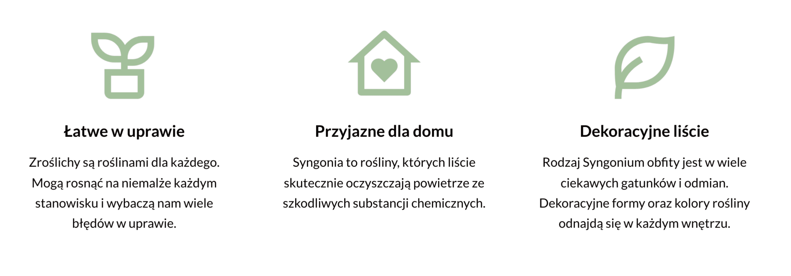 syngonium podophyllum zroślicha - uprawa i porady 