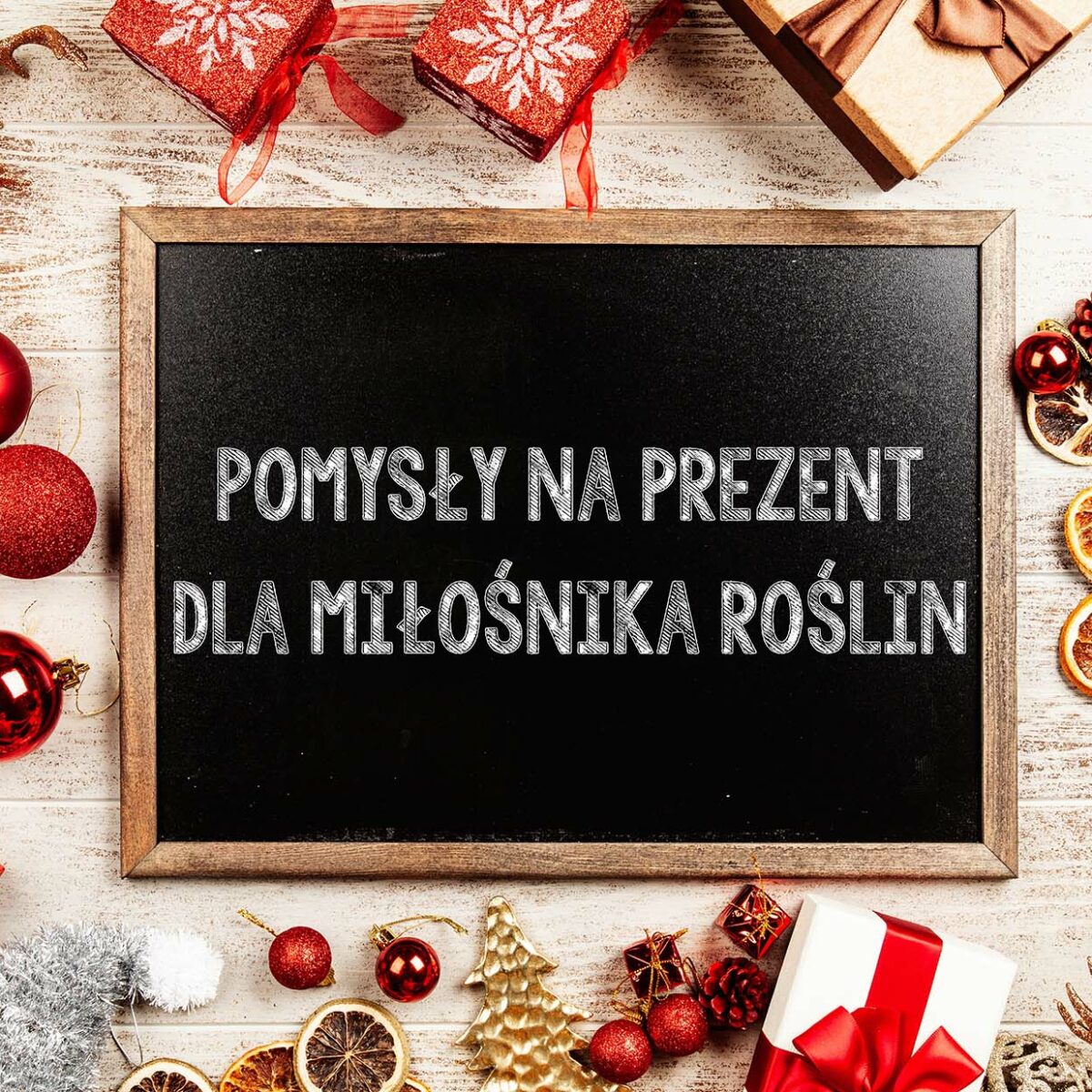 POMYSŁY NA PREZENT DLA MIŁOŚNIKA ROŚLIN