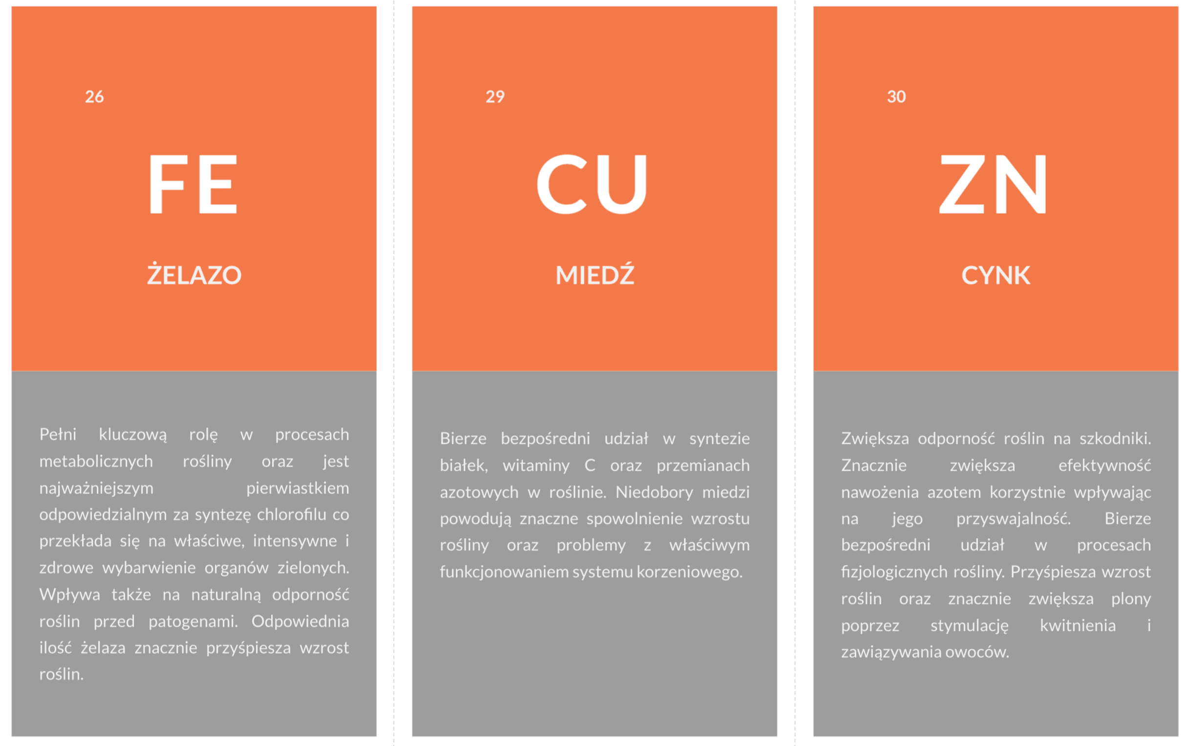 zdjecie