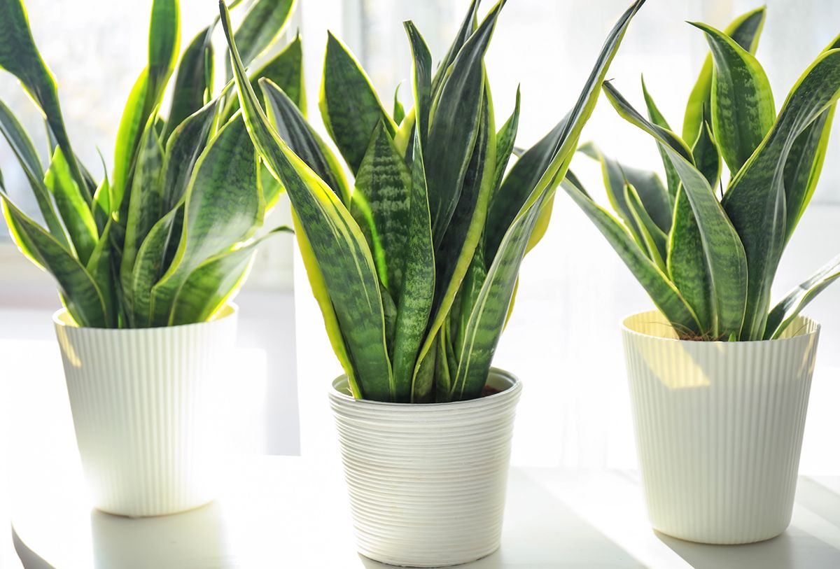 AdobeStock_239327151 kopia.jpg