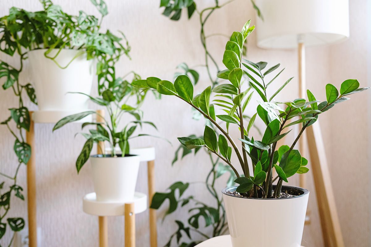 AdobeStock_466719497 kopia.jpg