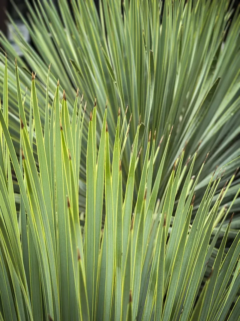 image0 kopia.webp