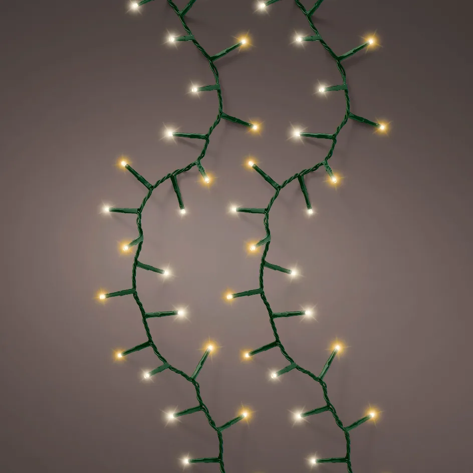 495420-1729508926339 Image