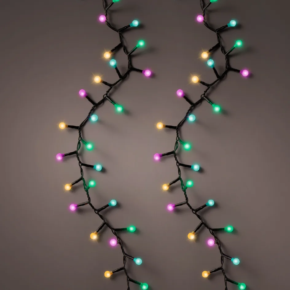 495559-1729517228361 Image