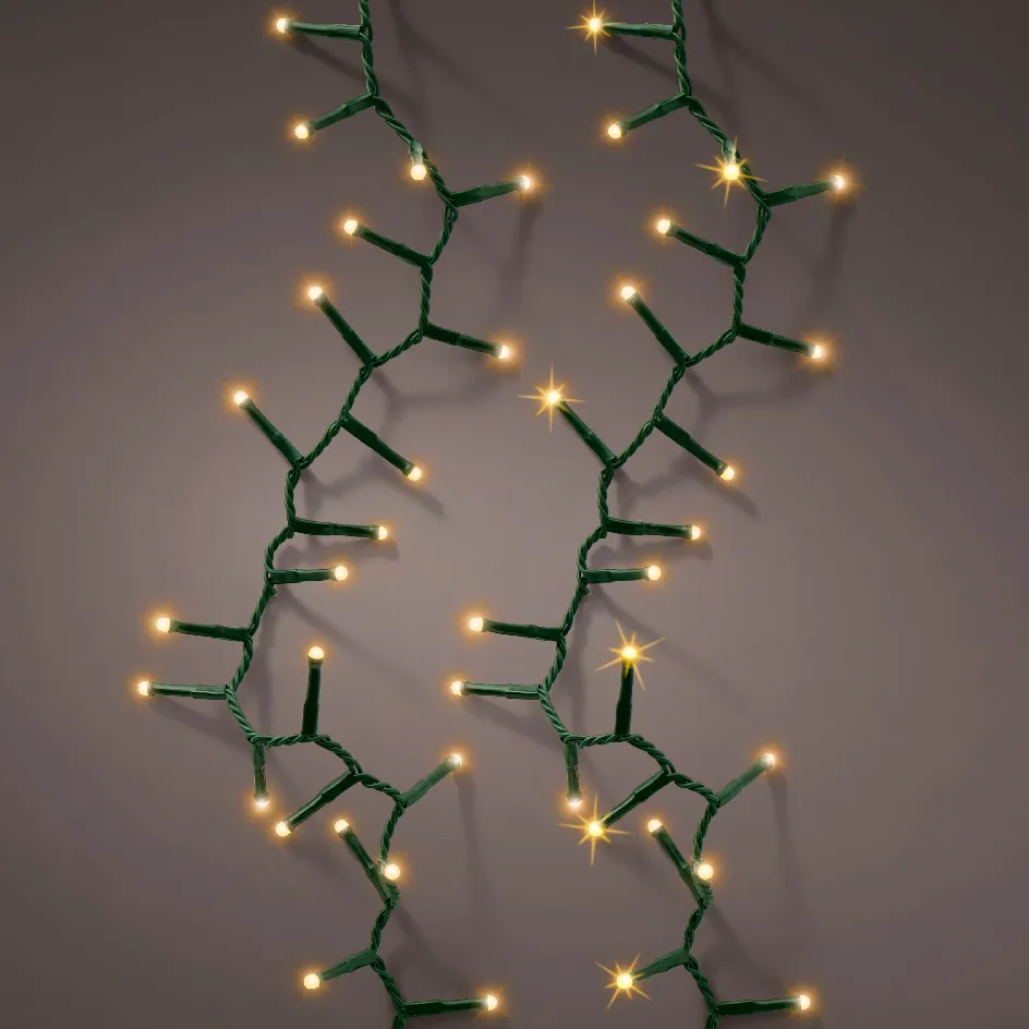 495679-1729520683008 Image