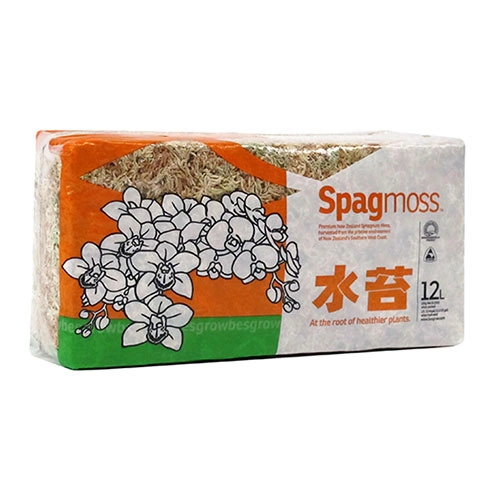 pol_pl_besgrow-mech-torfowiec-sphagnum-spagmoss-150g-12l-6815_3-1725977542556 Image