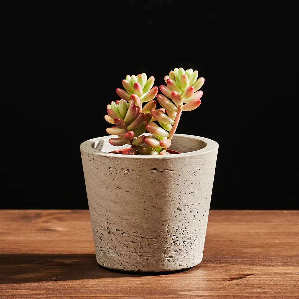 Flora K Flora