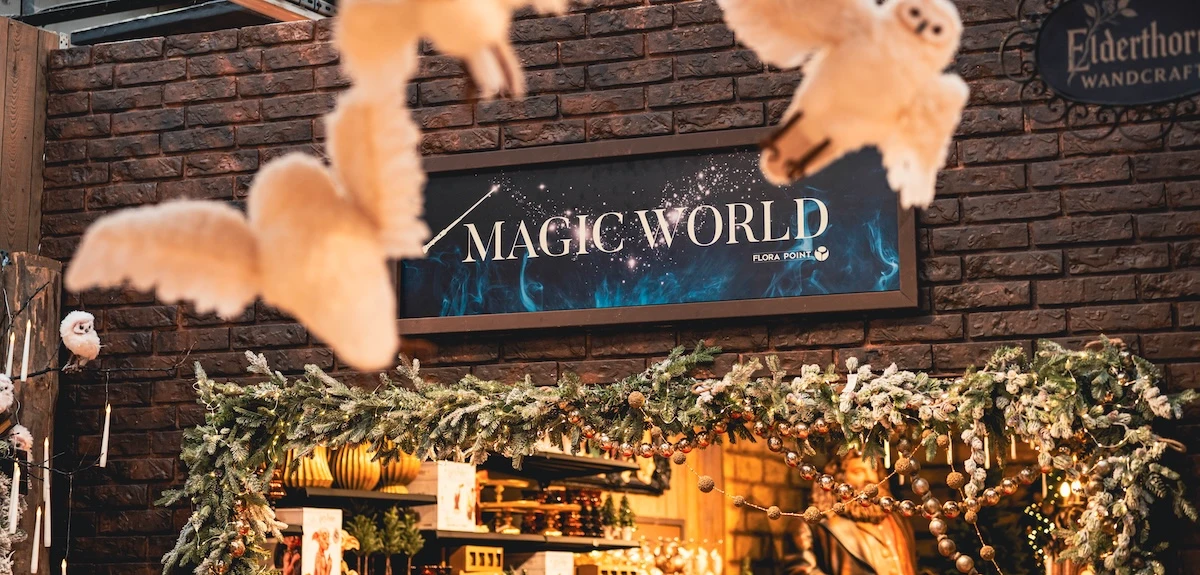 Harrypotter Magicworld